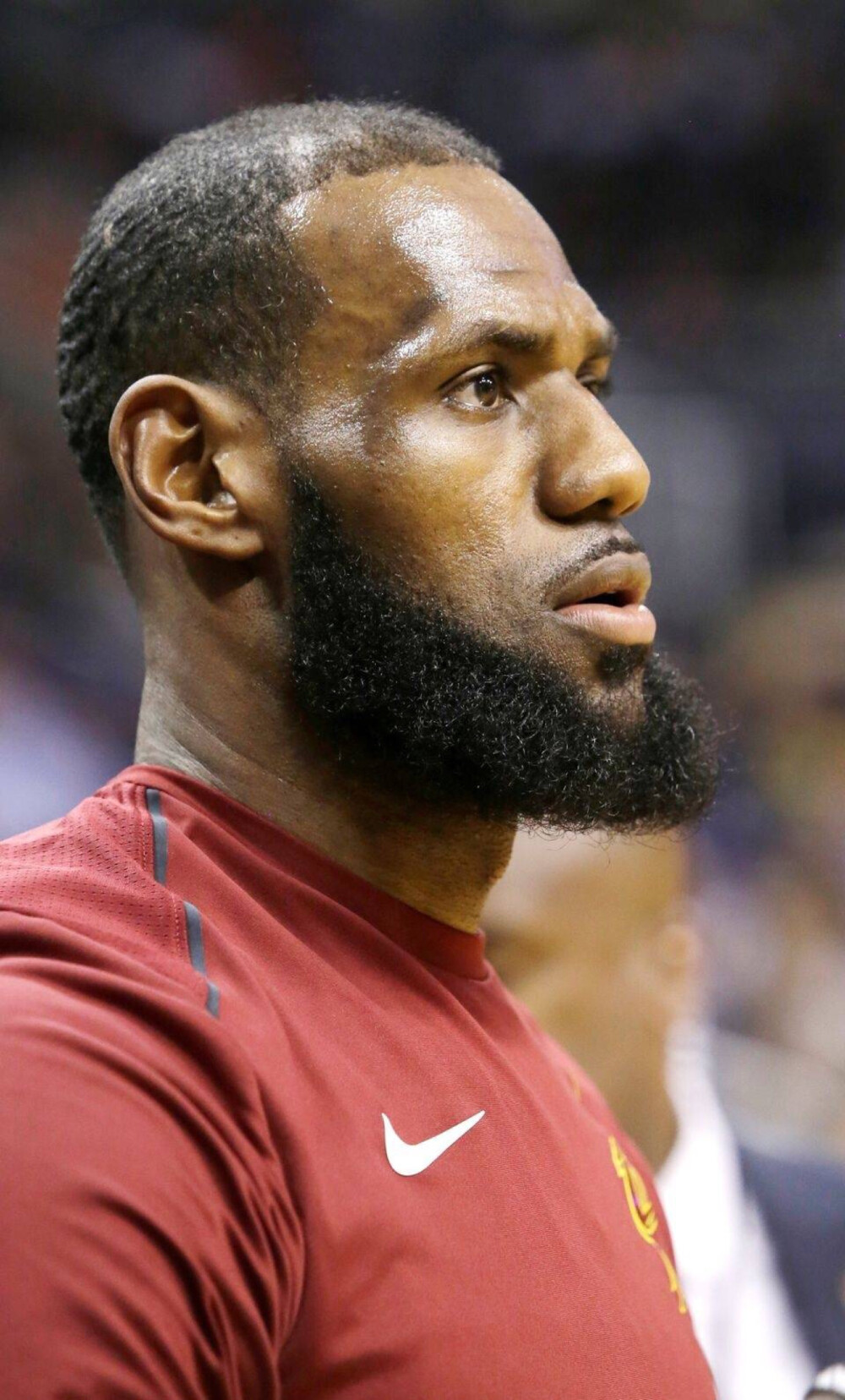 载体升级 载体升级